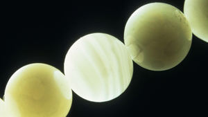 Bead-nucleated Cultured Pearl 