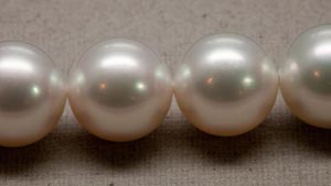 Clean South Sea Cultured Pearls 