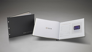 The Portrait, diamond image and GIA report in a hard-bound portfolio