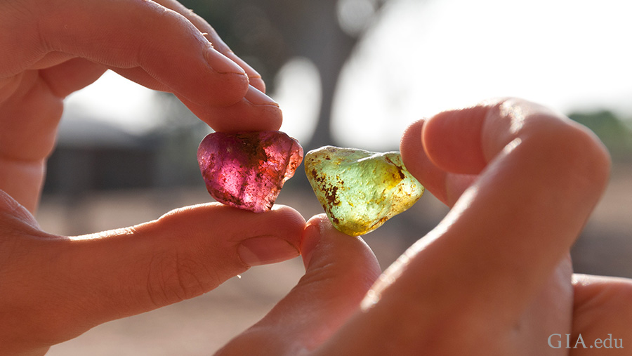Hands holding purple and green tourmaline rough while visiting the deposit of the October birthstone, near Mavuco village in Mozambique. 