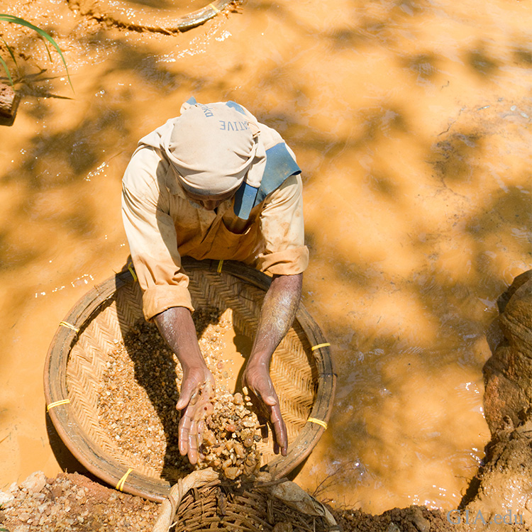 Miner in Sri Lanka searching for September’s birthstone, sapphire, among gravel using rudimentary washing techniques in a local stream.