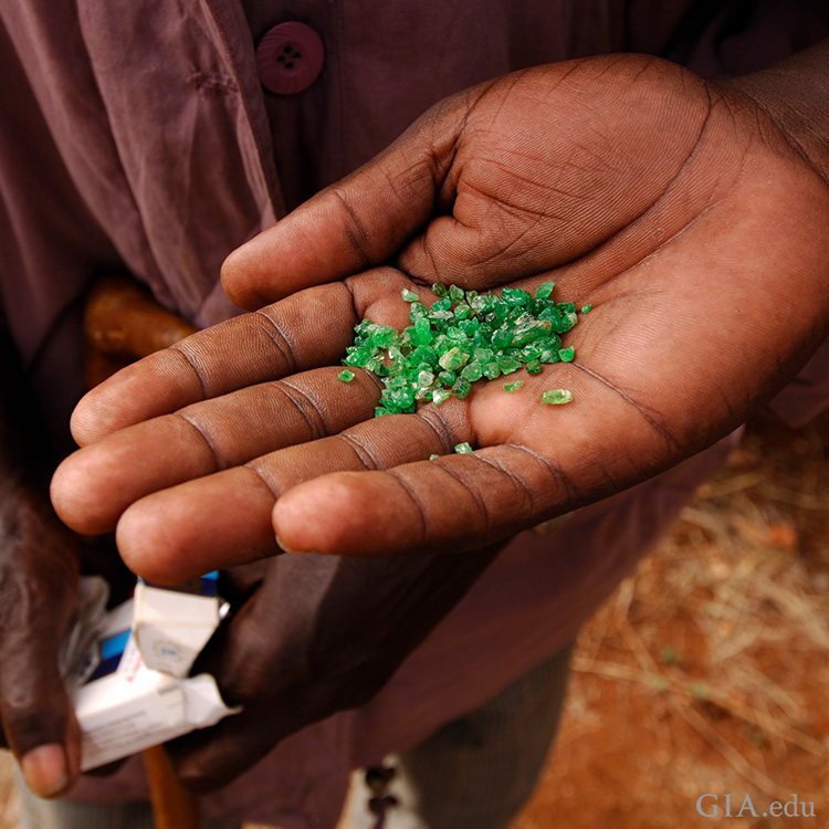 Miner in Voi, Kenya holding a handful of small rough tsavorite garnets, the birthstone for January.