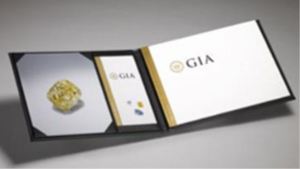 The Portrait, diamond image and GIA report in a hard-bound portfolio